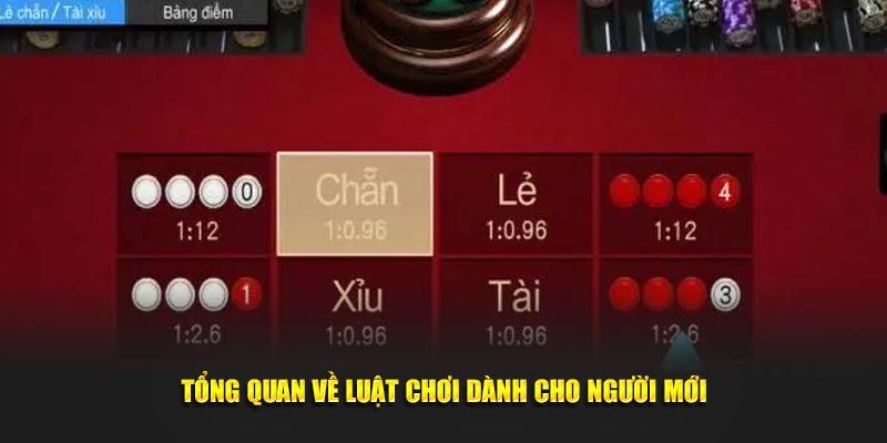 Tổng quan về luật chơi dành cho người mới