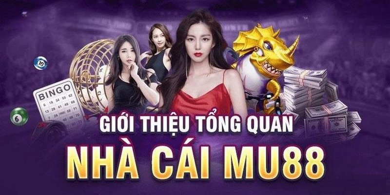 Nhà cái chuyên nghiệp cung cấp dịch vụ đạt chuẩn hàng đầu