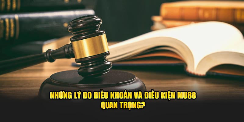 Điều khoản và điều kiện MU88 quan trọng không?