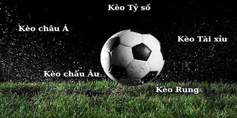 Thể thao Mu88 có rất nhiều loại hình độc đáo để bạn chọn cược